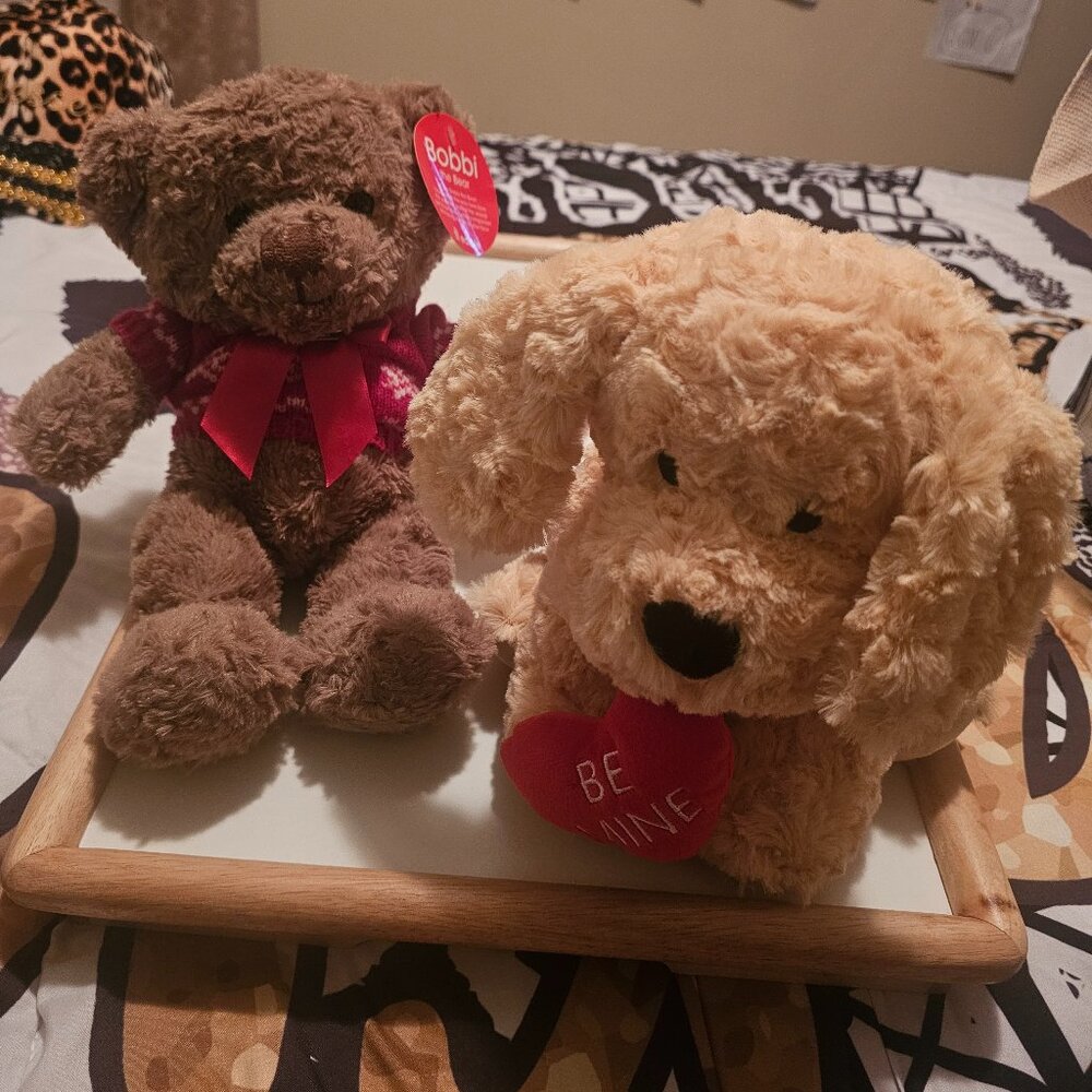 Two Stuffed Animals: 1 Teddy Bear and 1 Warmable Dog
